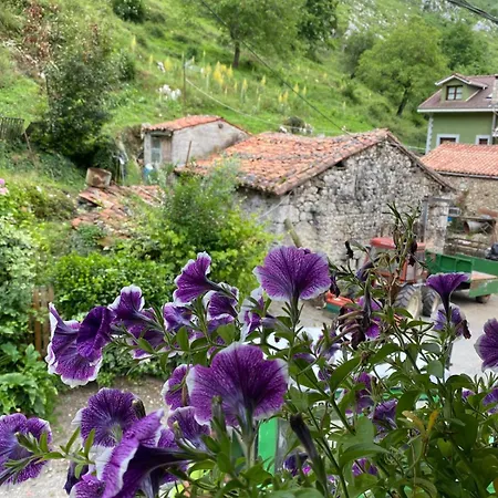 Apartamento La Quesería Oceno